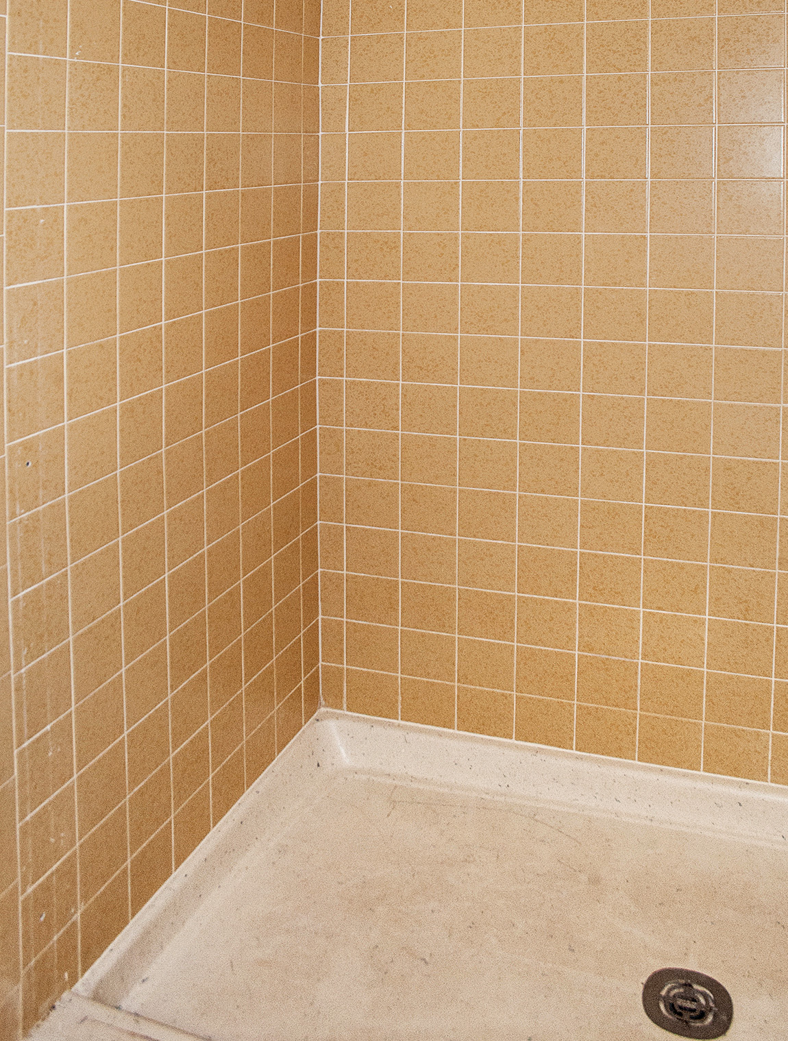 Shower Refinishing - Before Transformation